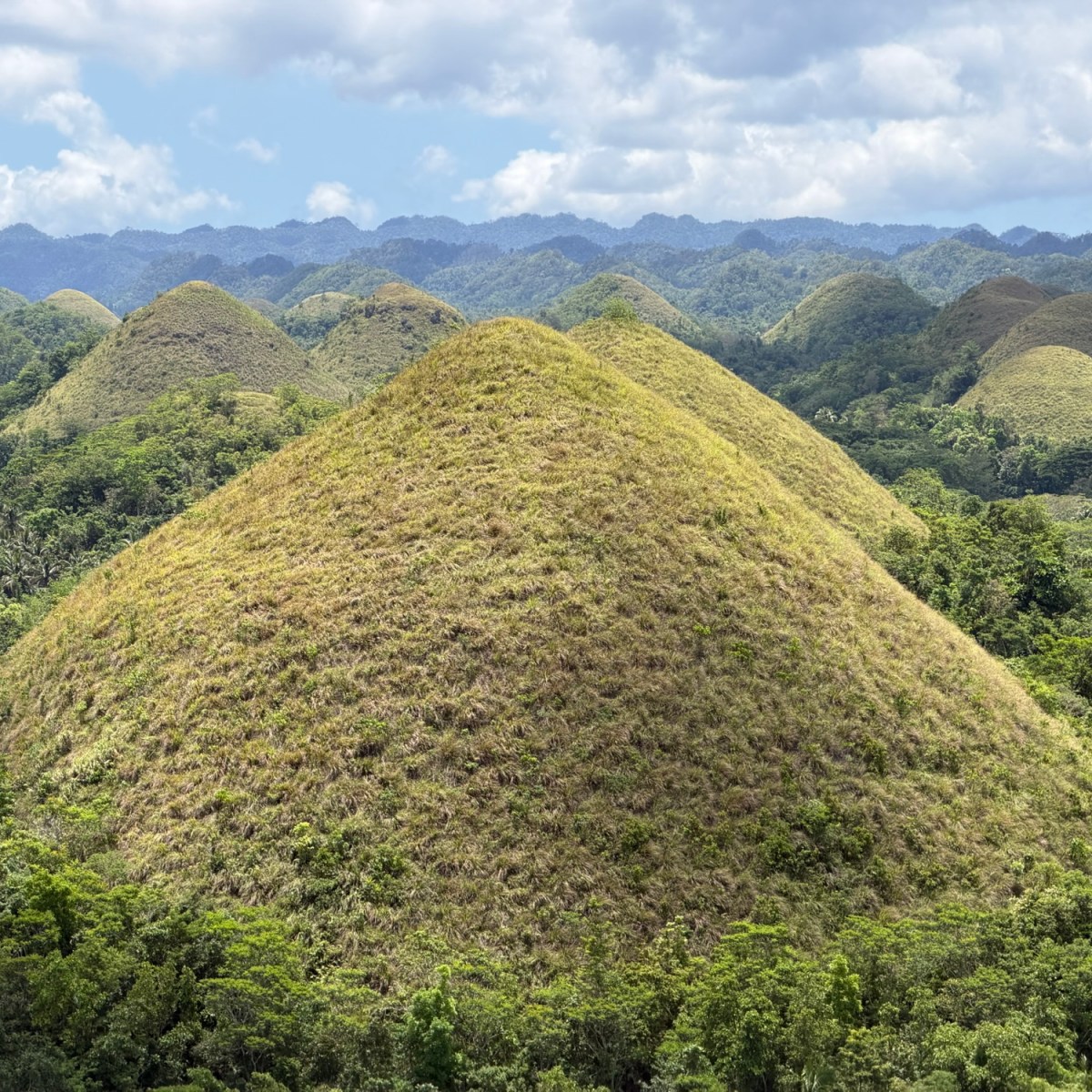 The Dark Side of Wildlife Tourism in the&nbsp;Philippines